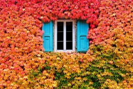 Шармот на есента