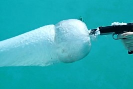 Што ќе се случи ако пукате со пиштол под вода?