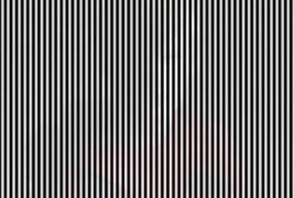 Оптички илузии кои ќе ви го поматат умот