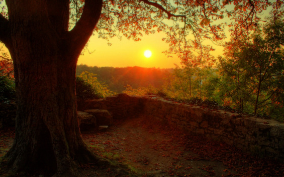 Тајната на живописните есенски зајдисонца