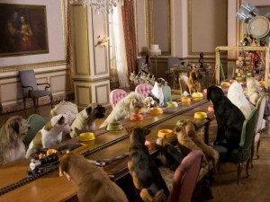 Состојбите во голема компанија прикажани преку смешни кучиња