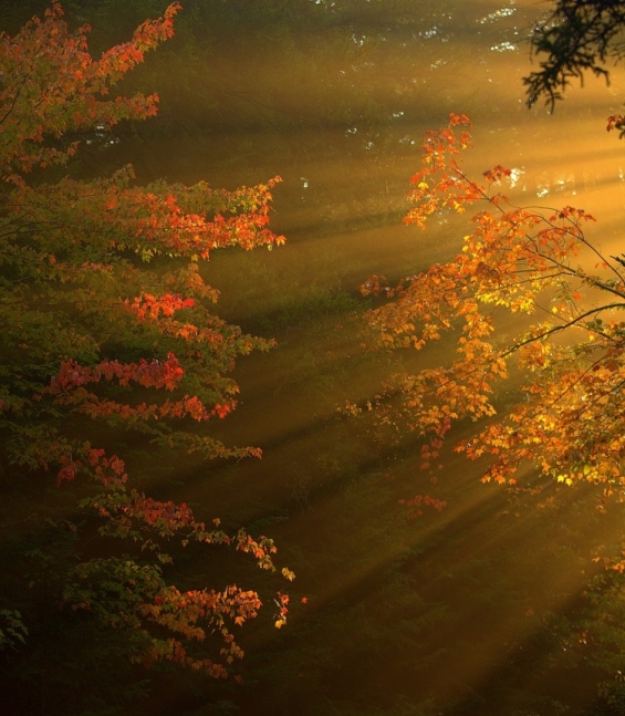 Тајната на живописните есенски зајдисонца