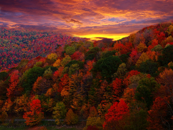 Тајната на живописните есенски зајдисонца