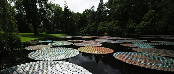 Колоритни водни цвеќиња направени од 65.000 рециклирани цедеа