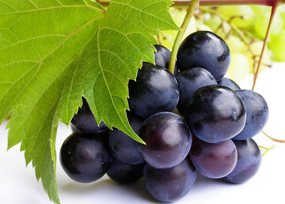 Најдобрите есенски плодови за вашето здравје