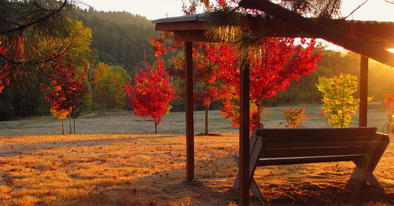 Тајната на живописните есенски зајдисонца