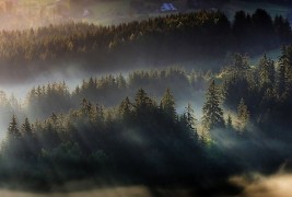 Кога сонцето и маглата ви посакуваат добро утро…