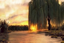 Лажни пејзажи за спектакуларна фотографија