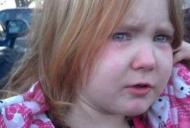 Најслатките видеа за 2012 година