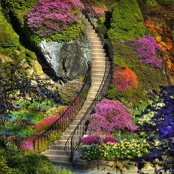Воодушевувачки дестинации за љубителите на цвеќиња