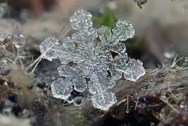 Како изгледаат снегулките одблиску?