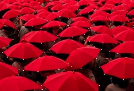 Величествените бои видени во разни делови од светот