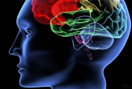 Дали луѓето навистина употребуваат само 10 проценти од мозокот?