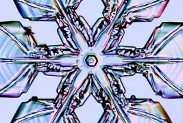 Дали навистина секоја снегулка е уникатна?