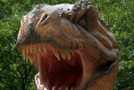 Колку стари биле најстарите диносаури?