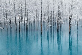 Магијата на блескавата снежна идила