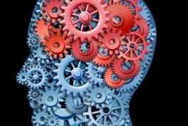 Петте најголеми психолошки истражувања и заклучоци во изминатава година