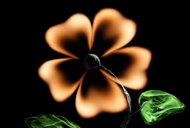 Распламтените фотографии на Станислав Аристов