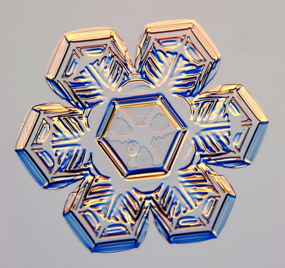 Дали навистина секоја снегулка е уникатна?