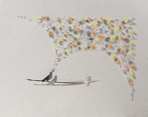 Неверојатно прецизна уметност од пердуви