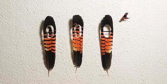 Неверојатно прецизна уметност од пердуви