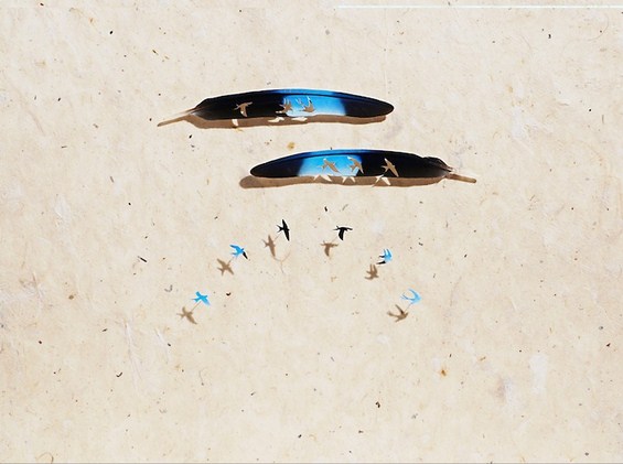 Неверојатно прецизна уметност од пердуви