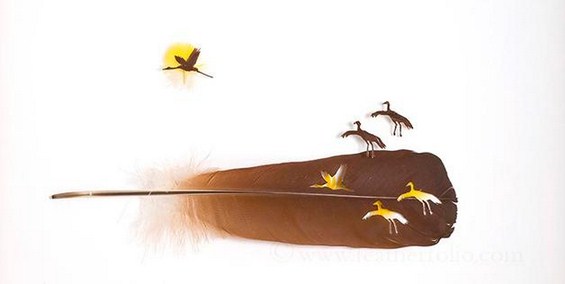 Неверојатно прецизна уметност од пердуви