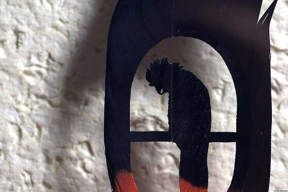 Неверојатно прецизна уметност од пердуви