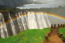 Дружбата меѓу виножитото и Викторините водопади