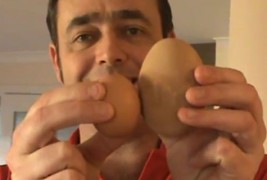 Јајце во јајце