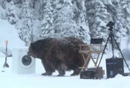 Најкул реклама за машина за перење алишта
