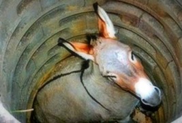 Поучна приказна: Магарето и бунарот