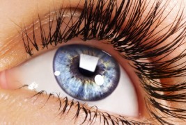 Прашања и одговори за маскарата