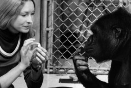 Рандом изненадувачки факти