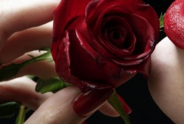 Што вели бојата на вашиот лак за вас?