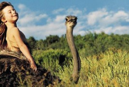 Типи – девојчето чии најдобри другари се дивите животни од Африка