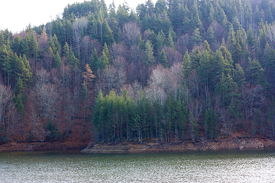 Зимска пладневна прошетка покрај Беровско Езеро