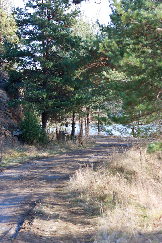 Зимска пладневна прошетка покрај Беровско Езеро