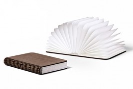 Моќна ламба во форма на книга