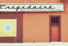 Можете ли да го пронајдете кучето на фотографииве?