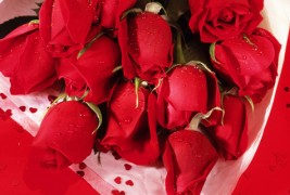 Најромантичната приказна за Свети Валентин која ќе ве расплаче