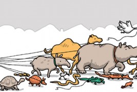 Суровата реалност на амбицијата