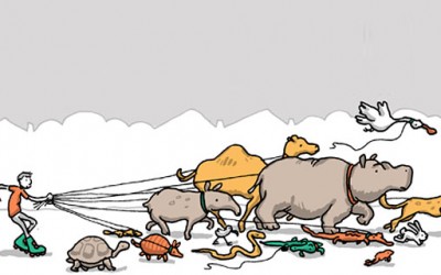 Суровата реалност на амбицијата