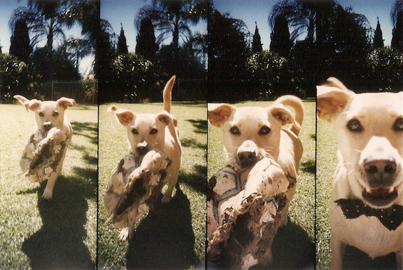 Убавите едноставни моменти во животот низ четири секвенци