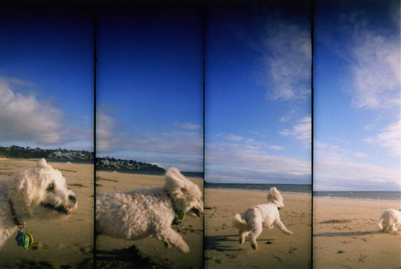 Убавите едноставни моменти во животот низ четири секвенци