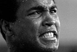 10 инспиративни цитати кои ќе ве мотивираат