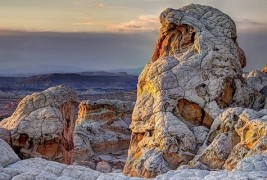 Белиот џеб - скриено дело на природата