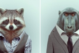 Модерните пријателчиња од зоолошката градина