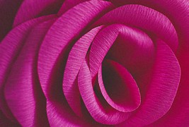 Направете сами: Прекрасен огромен цвет од хартија