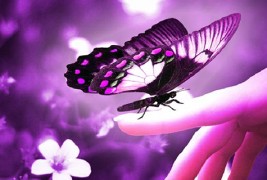 Убавината на зборот